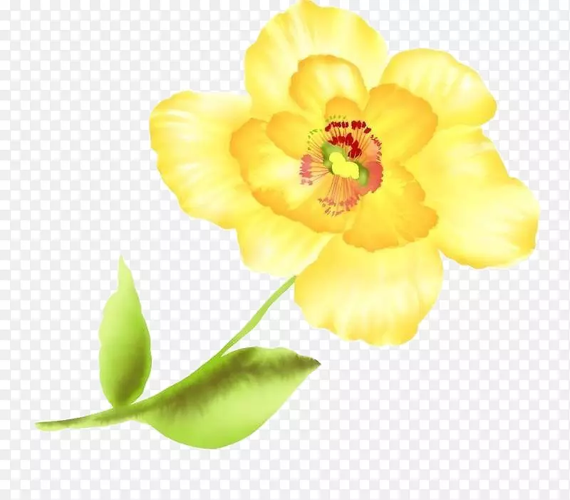 一朵小黄花