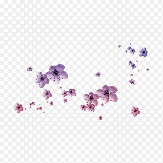 紫色花瓣装饰