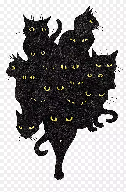 黑色猫咪