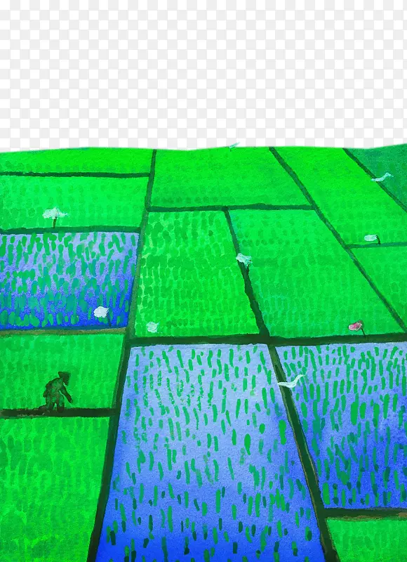 插图农地耕种水稻