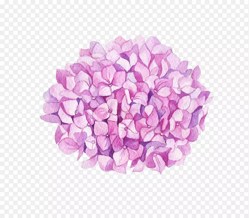 手绘紫色唯美花束