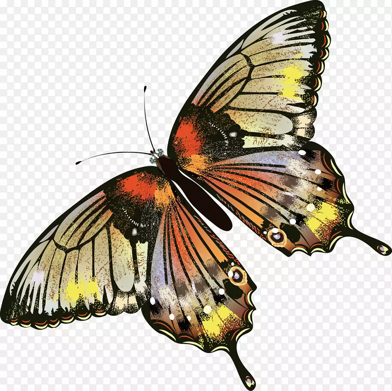 中国风手绘彩色蝴蝶