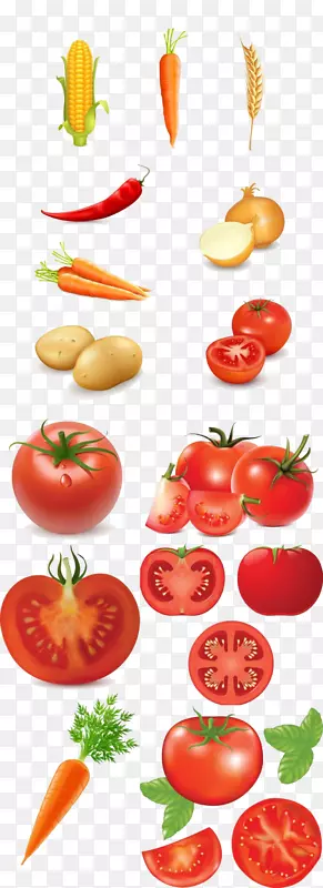 各类的蔬菜元素