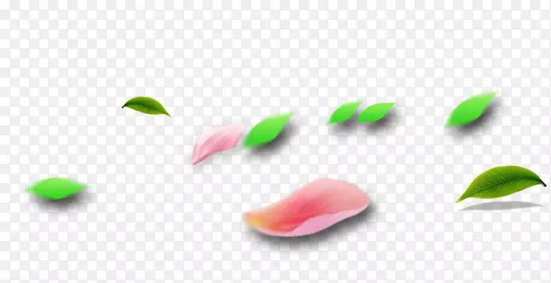 绿叶，花瓣