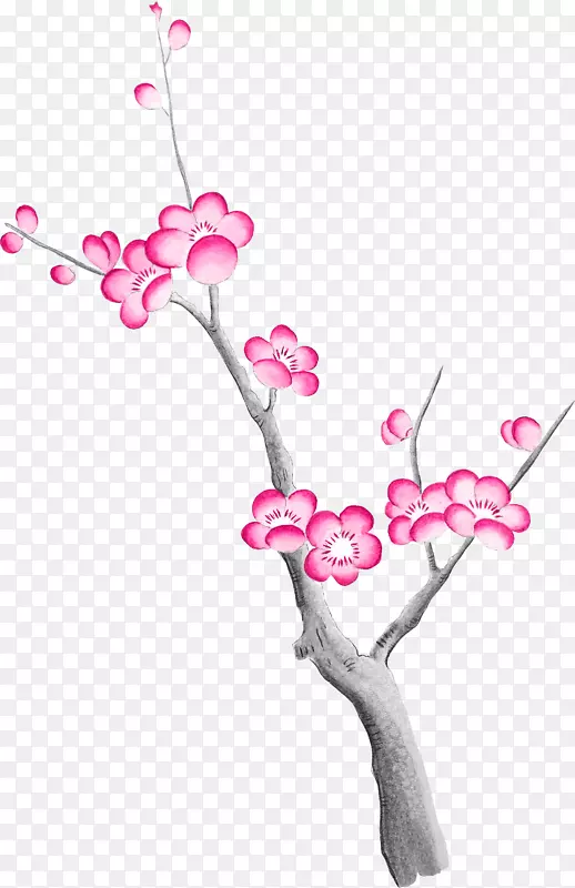 粉色中国风美丽花枝