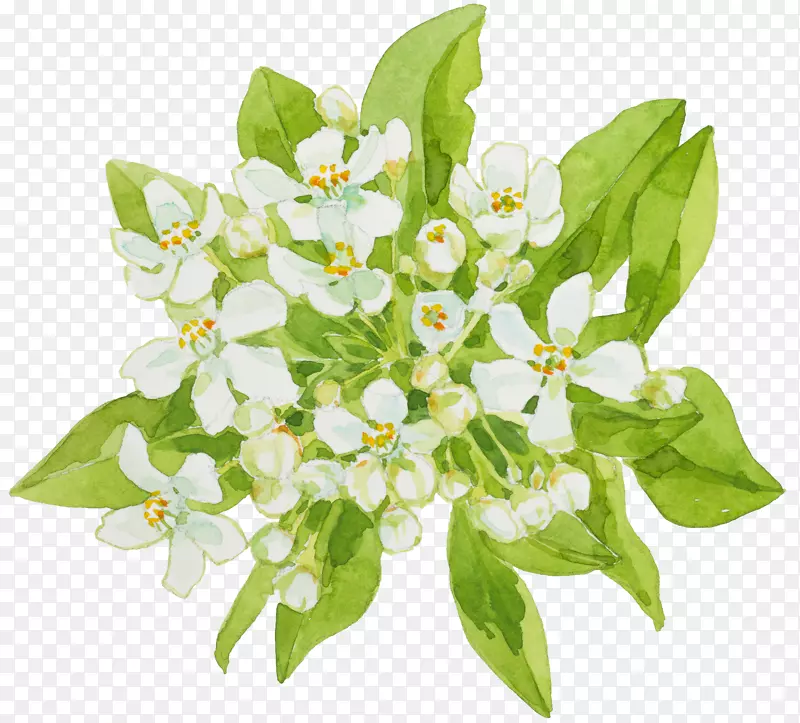 绿色树叶上的白色小花