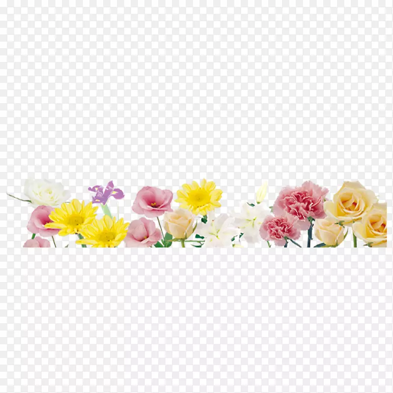 花花草草