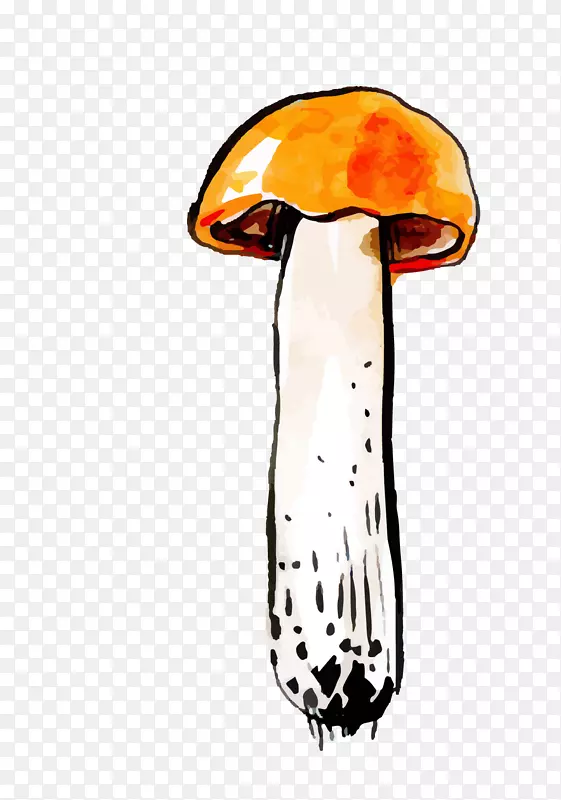矢量手绘水彩插画蘑菇
