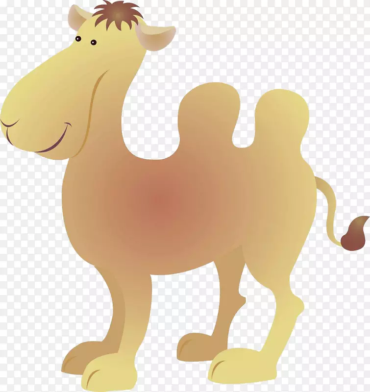 卡通骆驼动物装饰