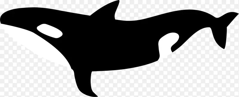 黑色大海游动鲸鱼