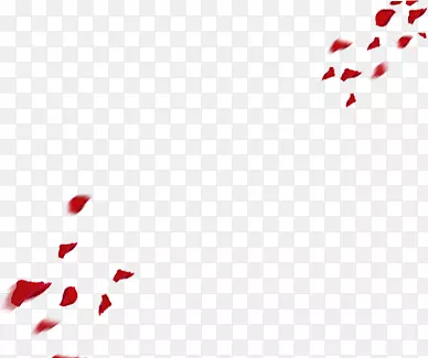 撒落的红色花瓣雨