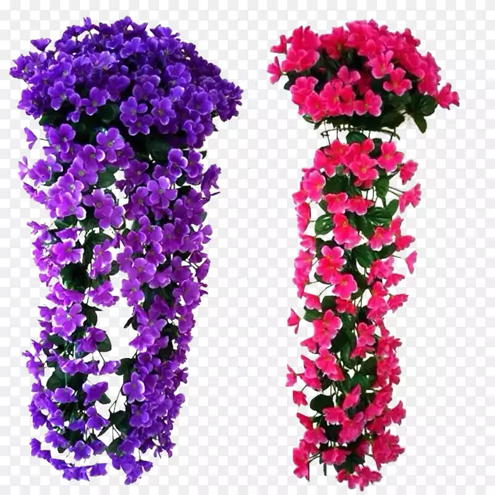 装饰花紫罗兰花
