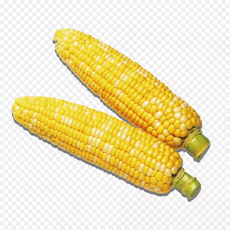 玉米农作物素材
