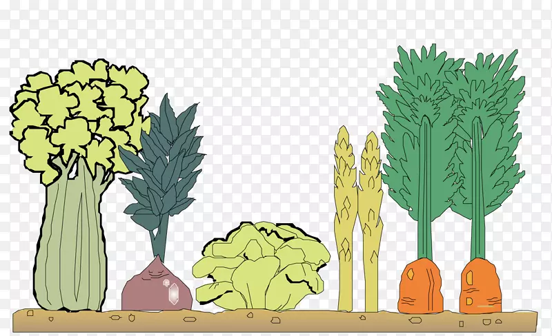一些蔬菜