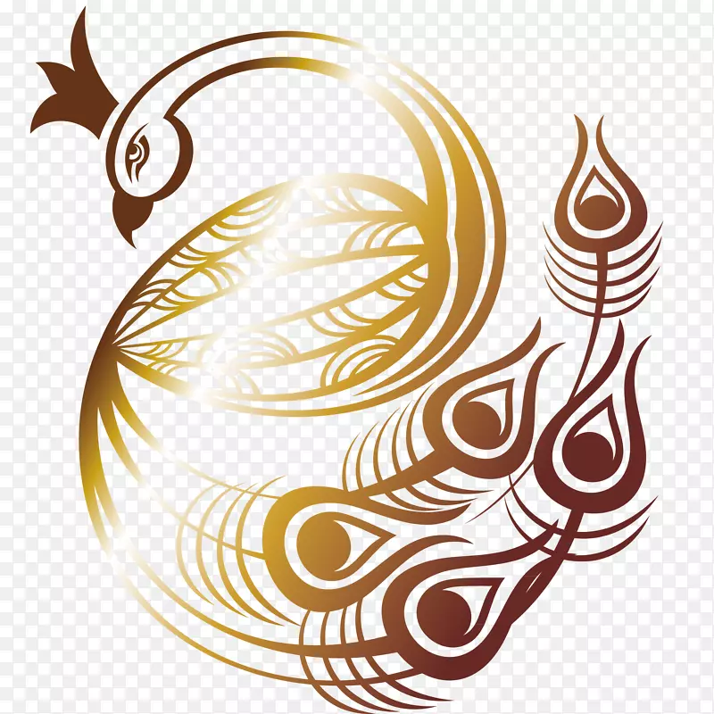 野生孔雀卡通插画