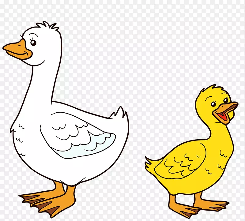 母鸭与鸭