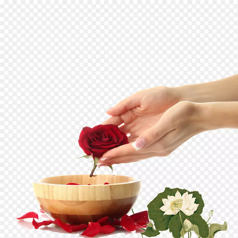 手捧玫瑰花