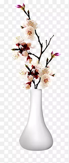 树枝上的白色梨花插画