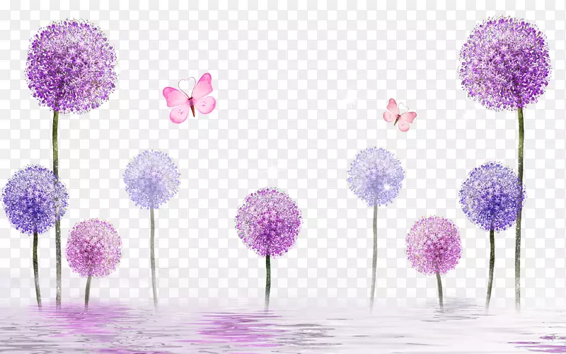 紫色蒲公英