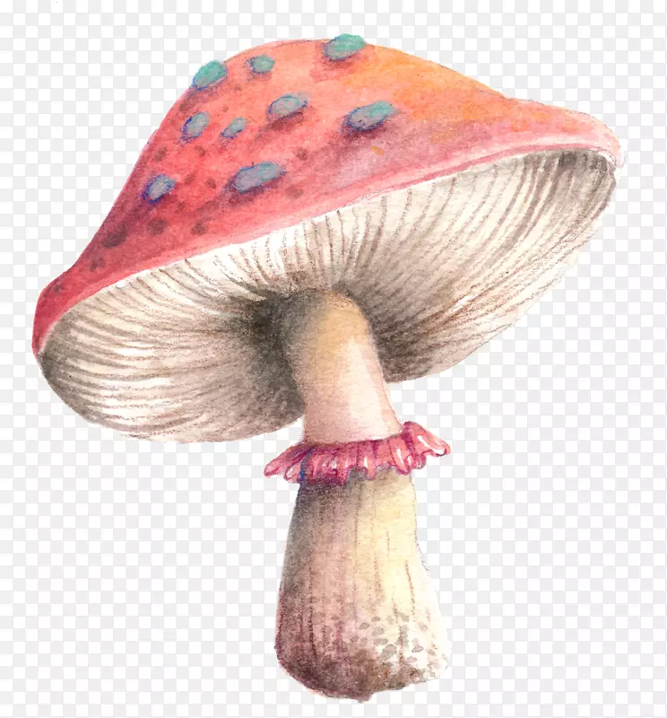 漂浮蘑菇