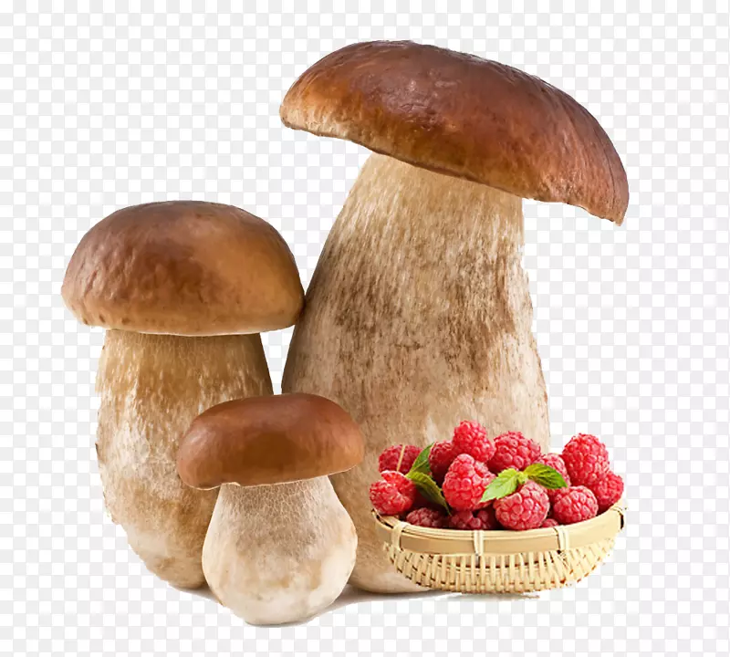 野蘑菇和草莓