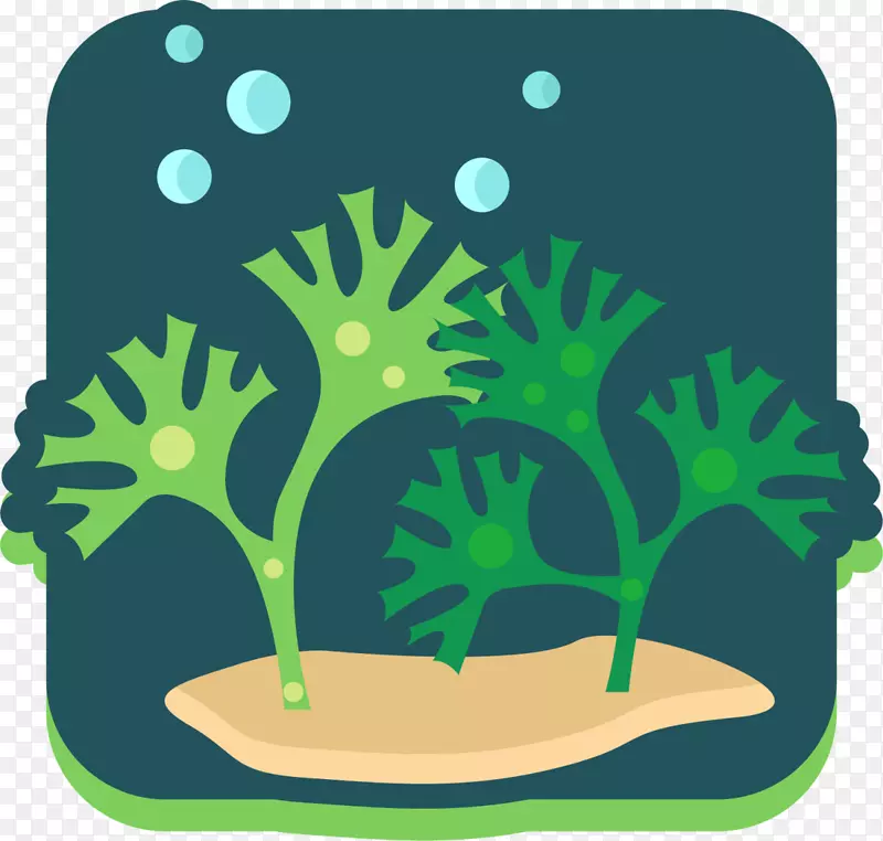 绿色海底植物海草