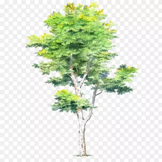 手绘树木元素绿色树木