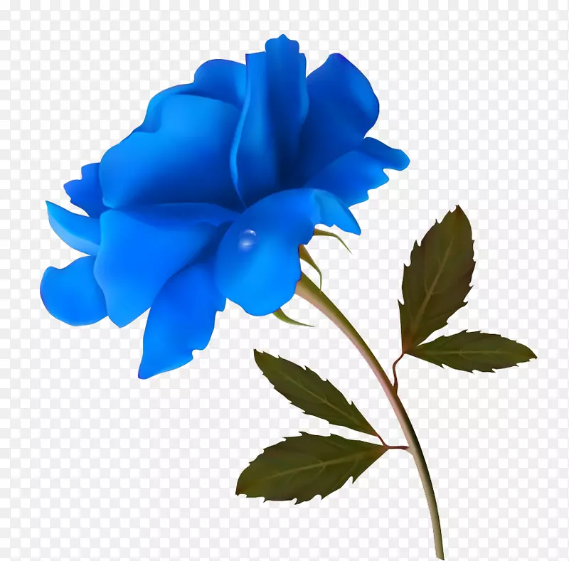 免抠装饰蓝色玫瑰花