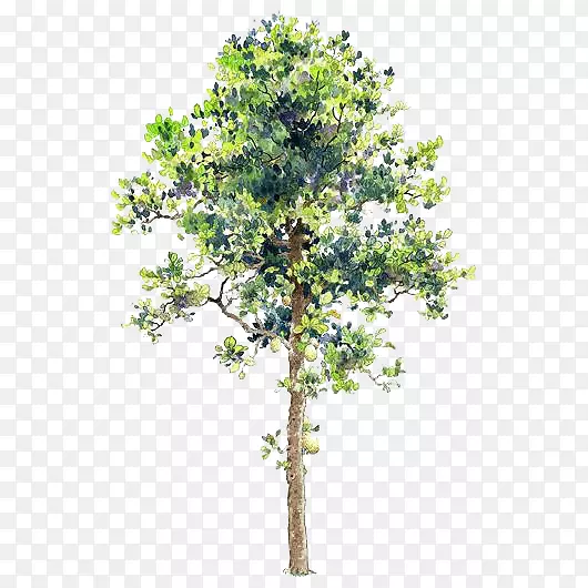 卡通树木素材手绘树木PNG图片素材下载_图片编号qzdmjjwq-免抠素材网