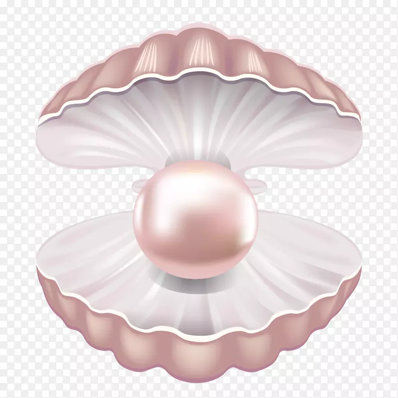 粉色精美贝壳