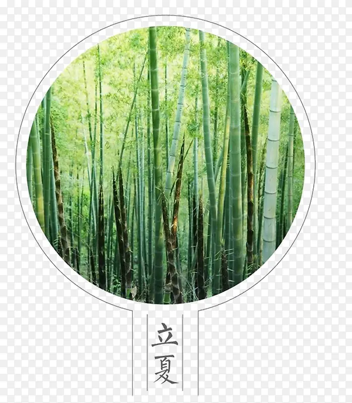 二十四节气立夏宣传海报