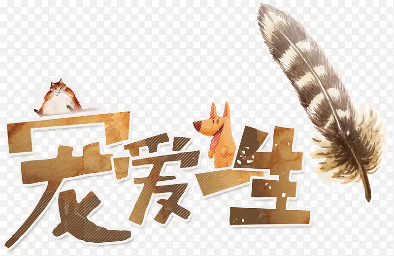 宠爱一生