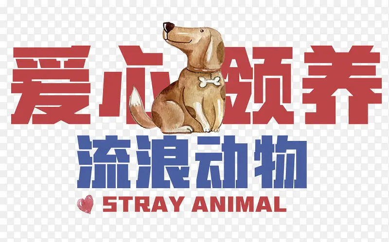 爱心领养