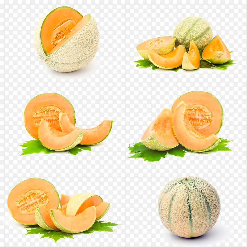 六种不同形态的哈密瓜