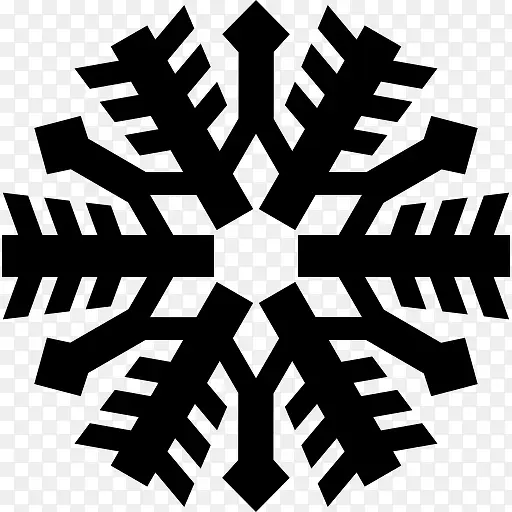 雪花的形状图标