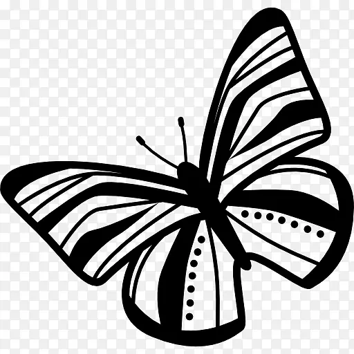 蝴蝶翅膀上视图旋转条纹左图标