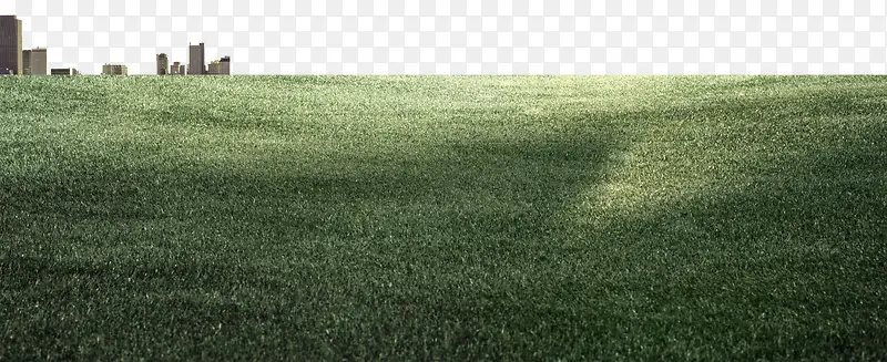 草地