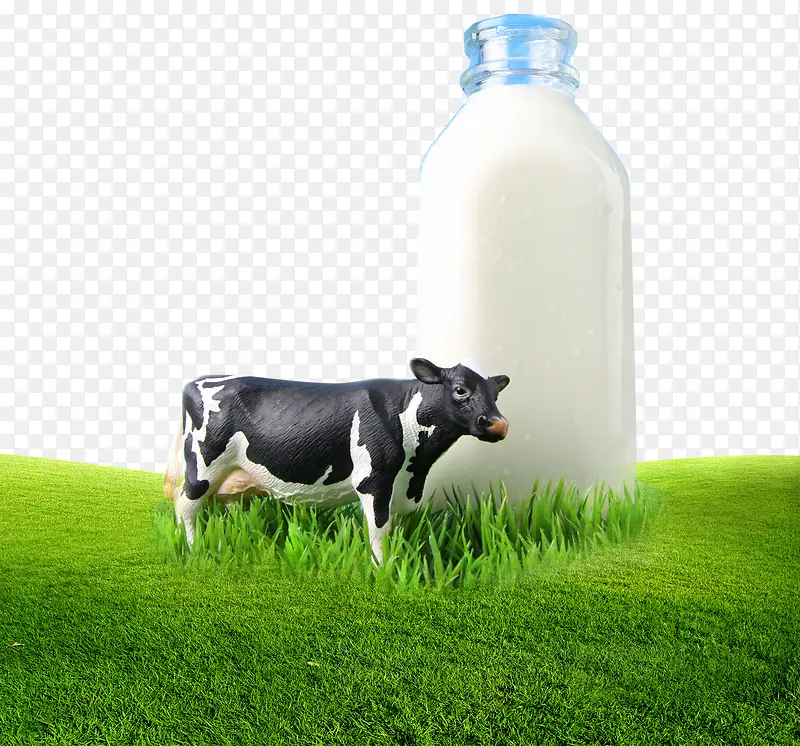 平面牧场牛乳广告矢量图