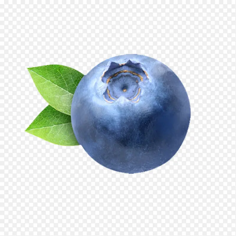 手绘蓝莓