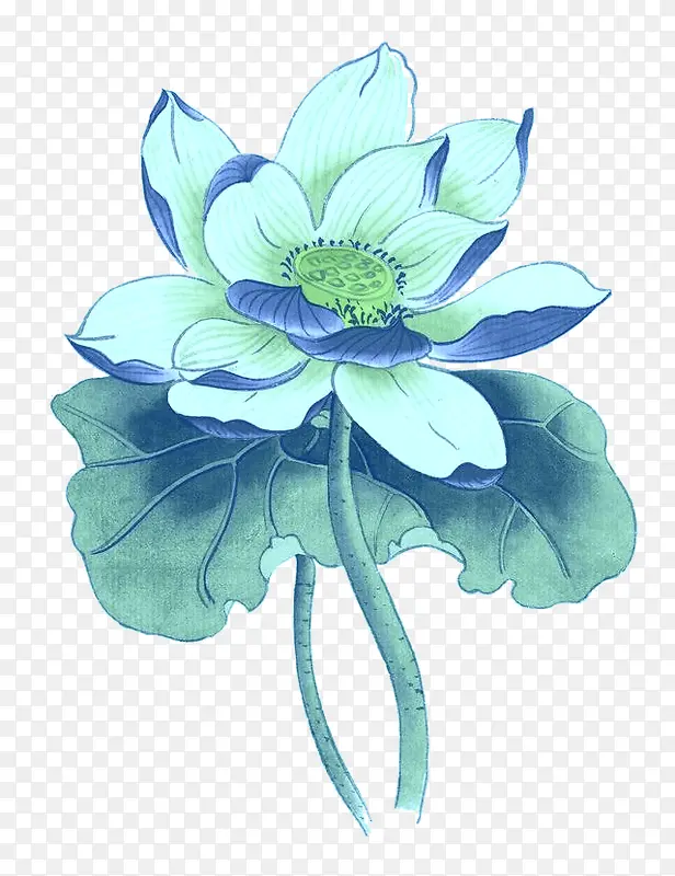 一枝蓝莲花