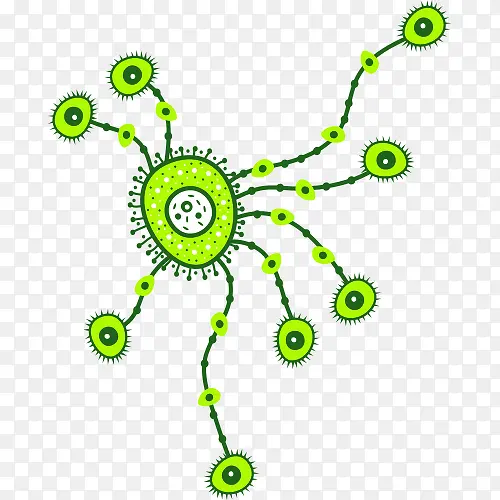 绿色病毒细胞