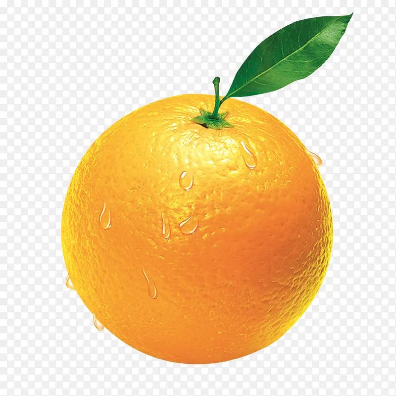 刚洗的橙子  水果橙子