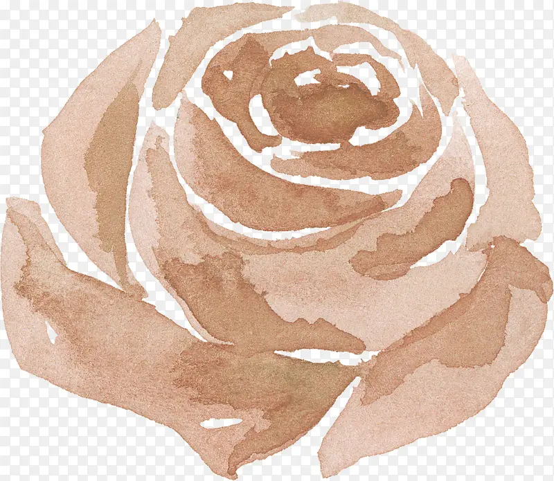 棕色水墨玫瑰花朵