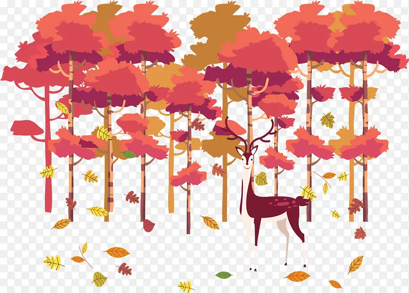 美丽秋天的树林落叶