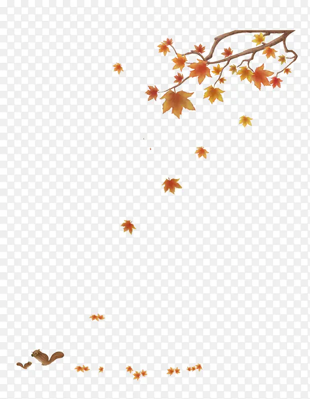 灰红色秋季飘落的枫叶