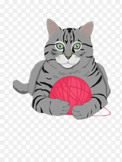 抱毛球的猫咪