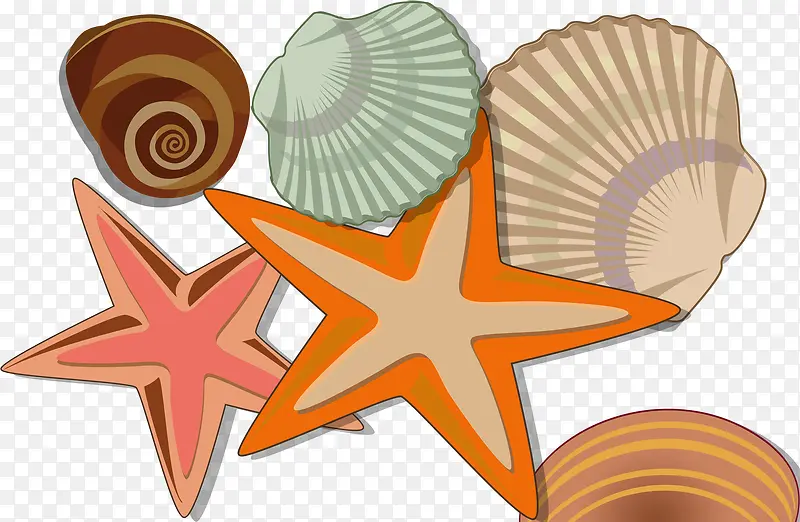卡通海洋生物海洋星星贝壳