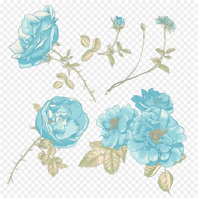蓝色手绘木兰花