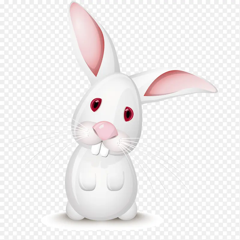 白色大耳兔矢量图
