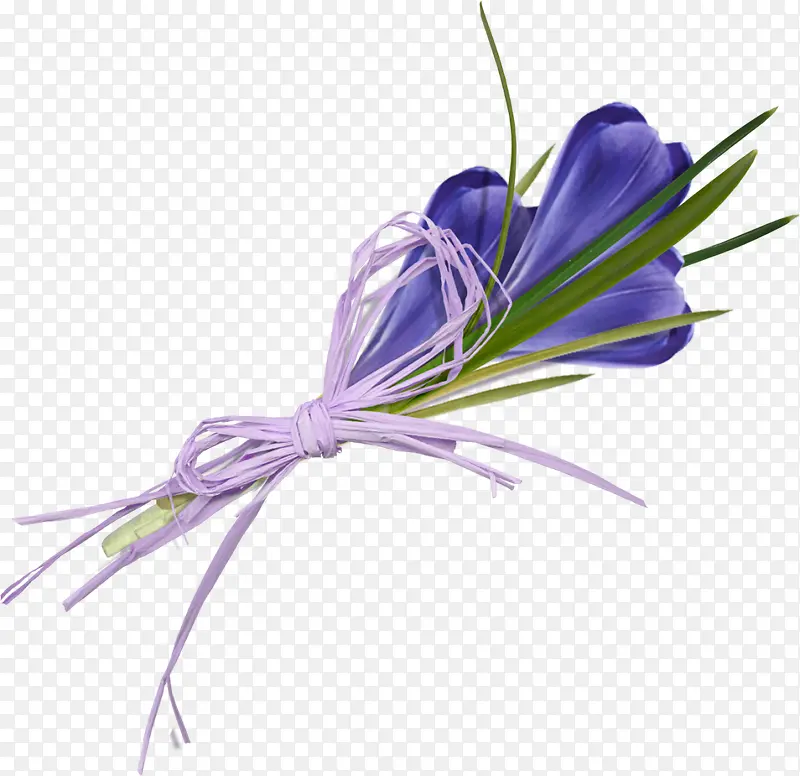 番红花花束